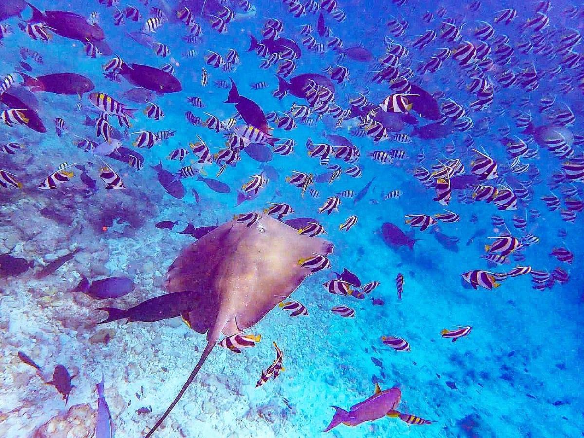 La Due Thulusdhoo Hotell Exteriör bild